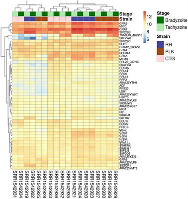 The Expressed MicroRNA—mRNA Interactions of Toxoplasma gondii